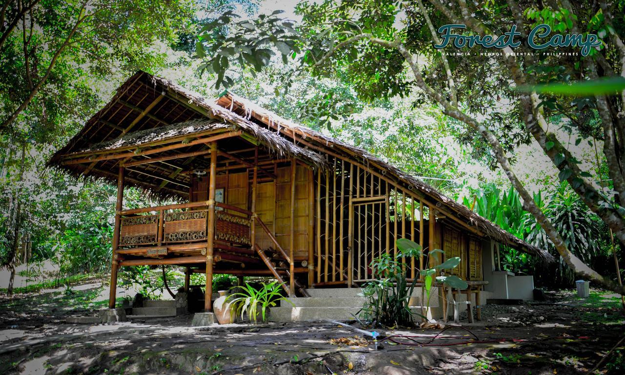 Forest Camp Resort Valencia  Екстериор снимка