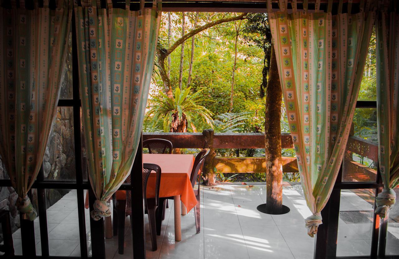 Forest Camp Resort Valencia  Екстериор снимка